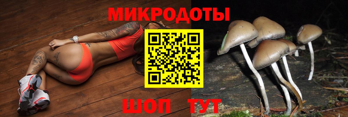 Псилоцибиновые грибы Magic Shrooms  Вход с VPN  Камень-на-Оби 